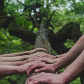 Perspectivas interseccionales: explorando el colonialismo y el trauma colectivo en CI desde una perspectiva BIPOC